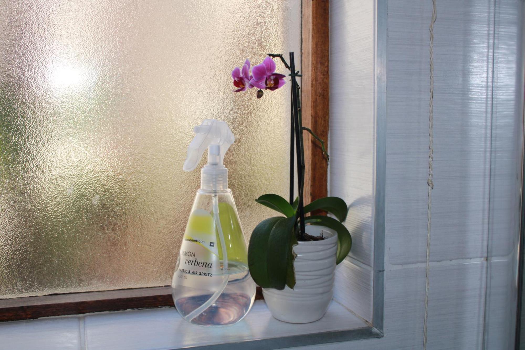C-Vu-Cottage Cosy And Warm Private Apartment 莫塞尔湾 外观 照片